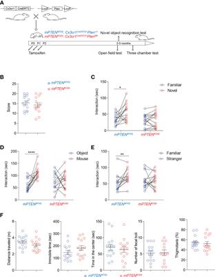 Microglial Pten safeguards postnatal integrity of the cortex and <mark class="highlighted">sociability</mark>